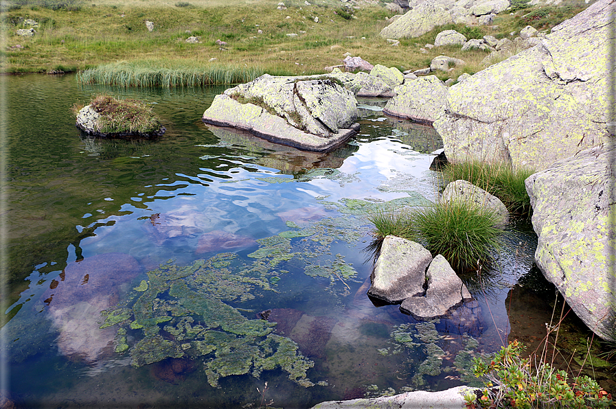 foto Lago di Montalon